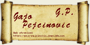 Gajo Pejčinović vizit kartica